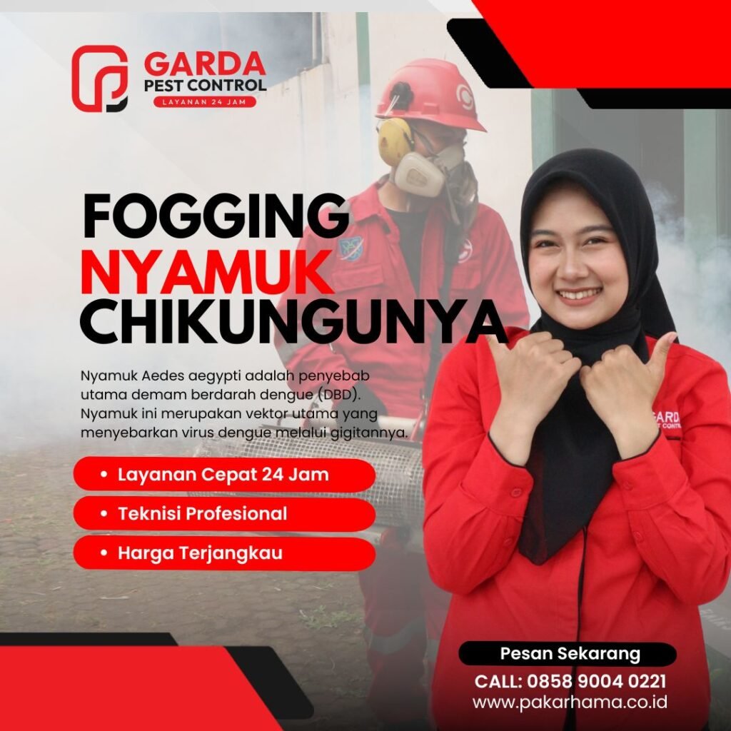 Jasa Basmi Nyamuk di Cirebon Fogging Massal Harga 25K/Rumah