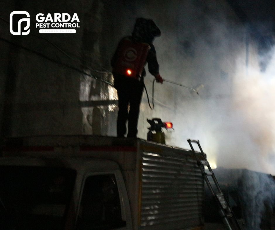 Jasa Pembasmi Kelelawar di Bandung