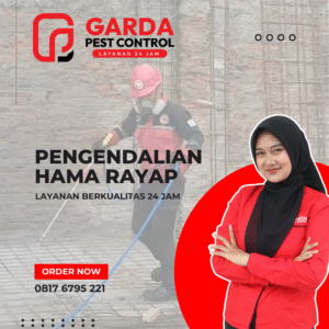 Jasa Anti Rayap Terdekat di Cirebon