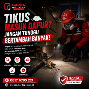 Tips Memilih Jasa Pembasmi Tikus Profesional Cirebon