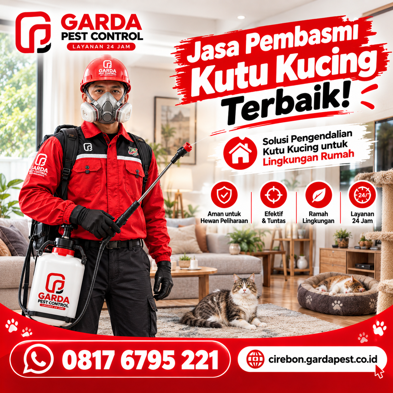 Jasa Pembasmi Kutu Kucing Panggilan ke Rumah Cirebon Bergaransi