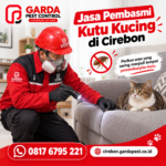 Jasa Pembasmi Kutu Kucing Cirebon Bergaransi Tuntas Sampai Sarang