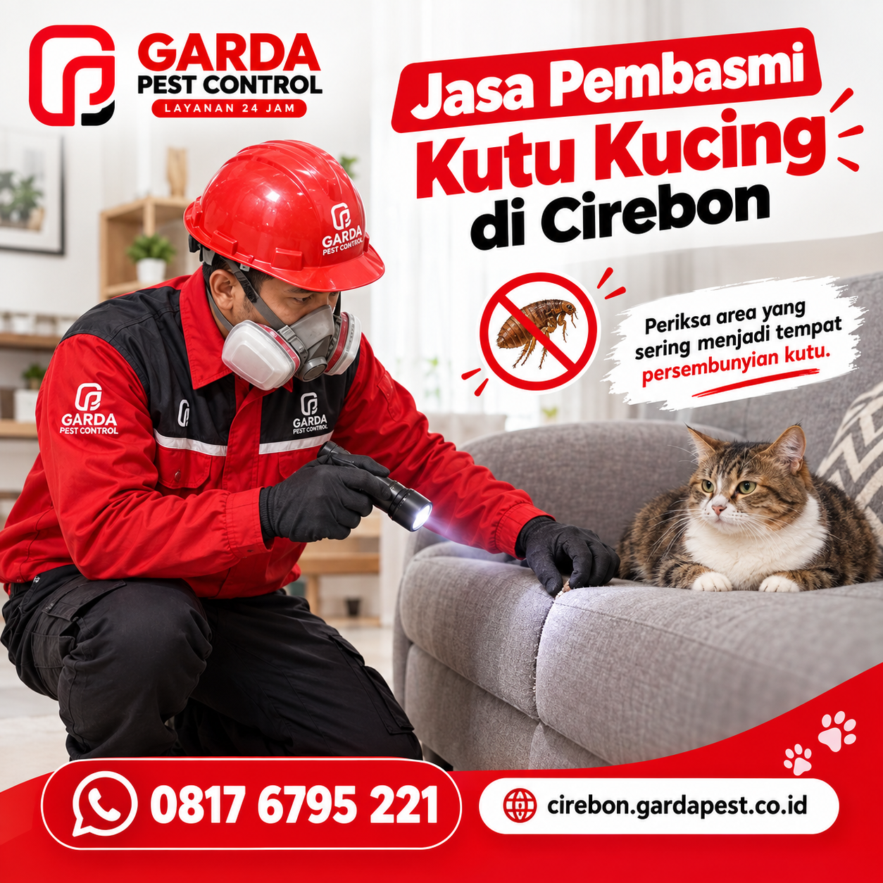 Jasa Pembasmi Kutu Kucing Cirebon Bergaransi Tuntas Sampai Sarang