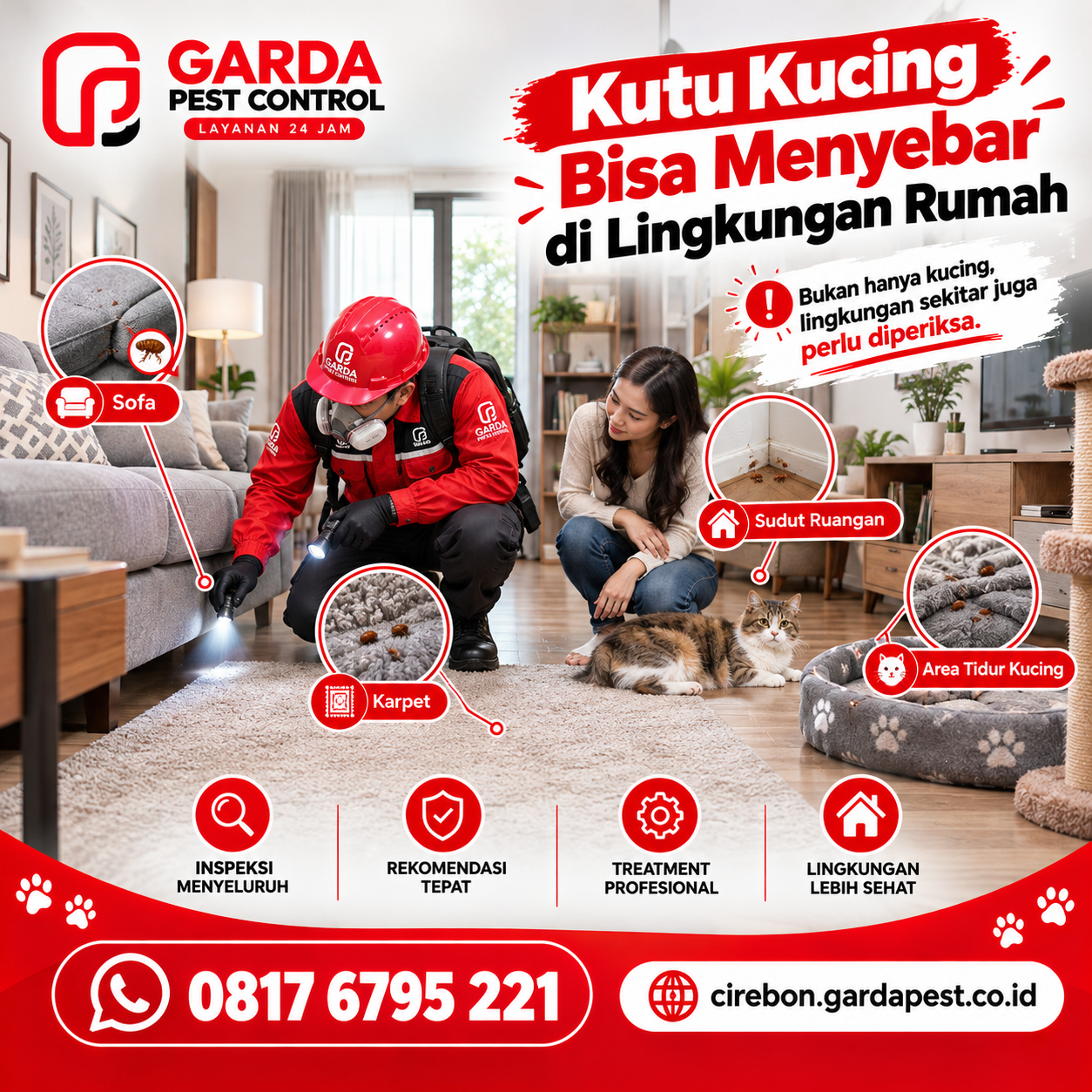 Jasa Pembasmi Kutu Kucing Cirebon Bergaransi Tuntas Sampai Sarang