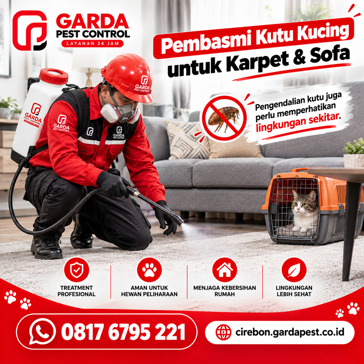 Cara Mencegah Kutu Kucing Datang Lagi Setelah Pembasmian