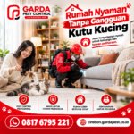 Jasa Pembasmi Kutu Kucing Panggilan ke Rumah Cirebon Bergaransi